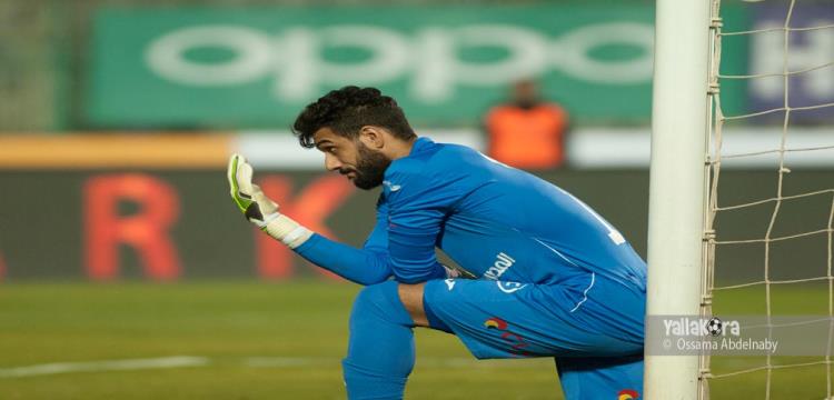 احمد الشناوي 